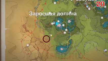 Где найти Купоны торжества и Мешочки с Купонами торжества (Ваучеры) в Genshin Impact 3.8 в Genshin Impact 3.8 геншин импакт