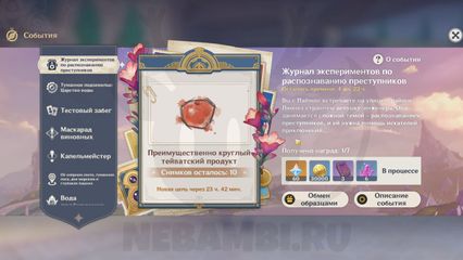 Преимущественно круглый тейватский продукт событие журнал экспериментов геншин импакт genshin impact