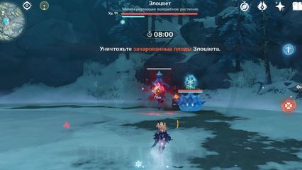 Восстание злоцвета геншин импакт genshin impact
