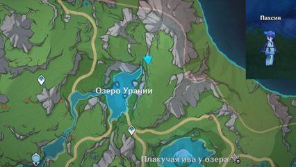 где найти Пахсив в лесу эриний геншин импакт genshin impact