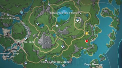 где найти Ветвь туманного леса геншин импакт genshin impact