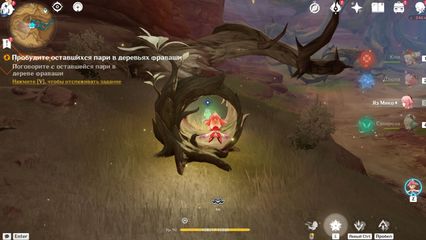 Найдите дерево Фраваши геншин импакт genshin impact
