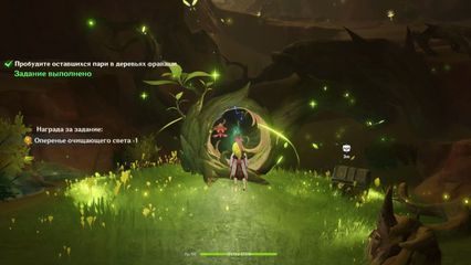 Найдите дерево Фраваши геншин импакт genshin impact