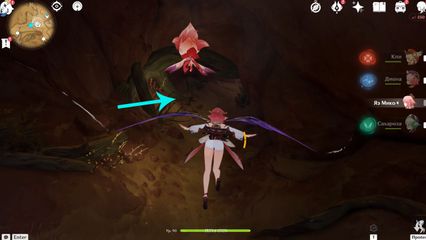 Найдите дерево Фраваши геншин импакт genshin impact