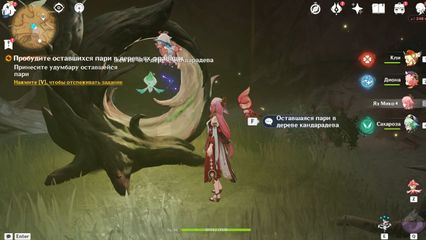 Найдите дерево Фраваши геншин импакт genshin impact