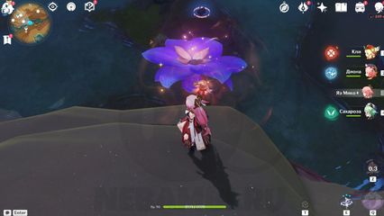 Где найти бутоны Удумбары геншин импакт genshin impact