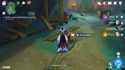 задание родословная ворона Найдите хорька-барахольщика с ключом геншин импакт genshin impact 6.3