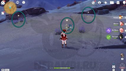 где найти Семена золотой розы геншин импакт genshin impact