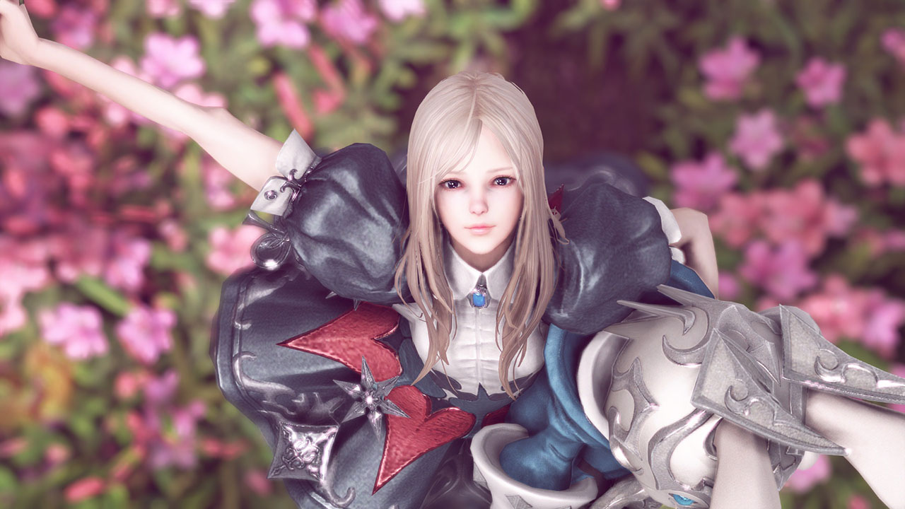 Коллекции в Лост Арк