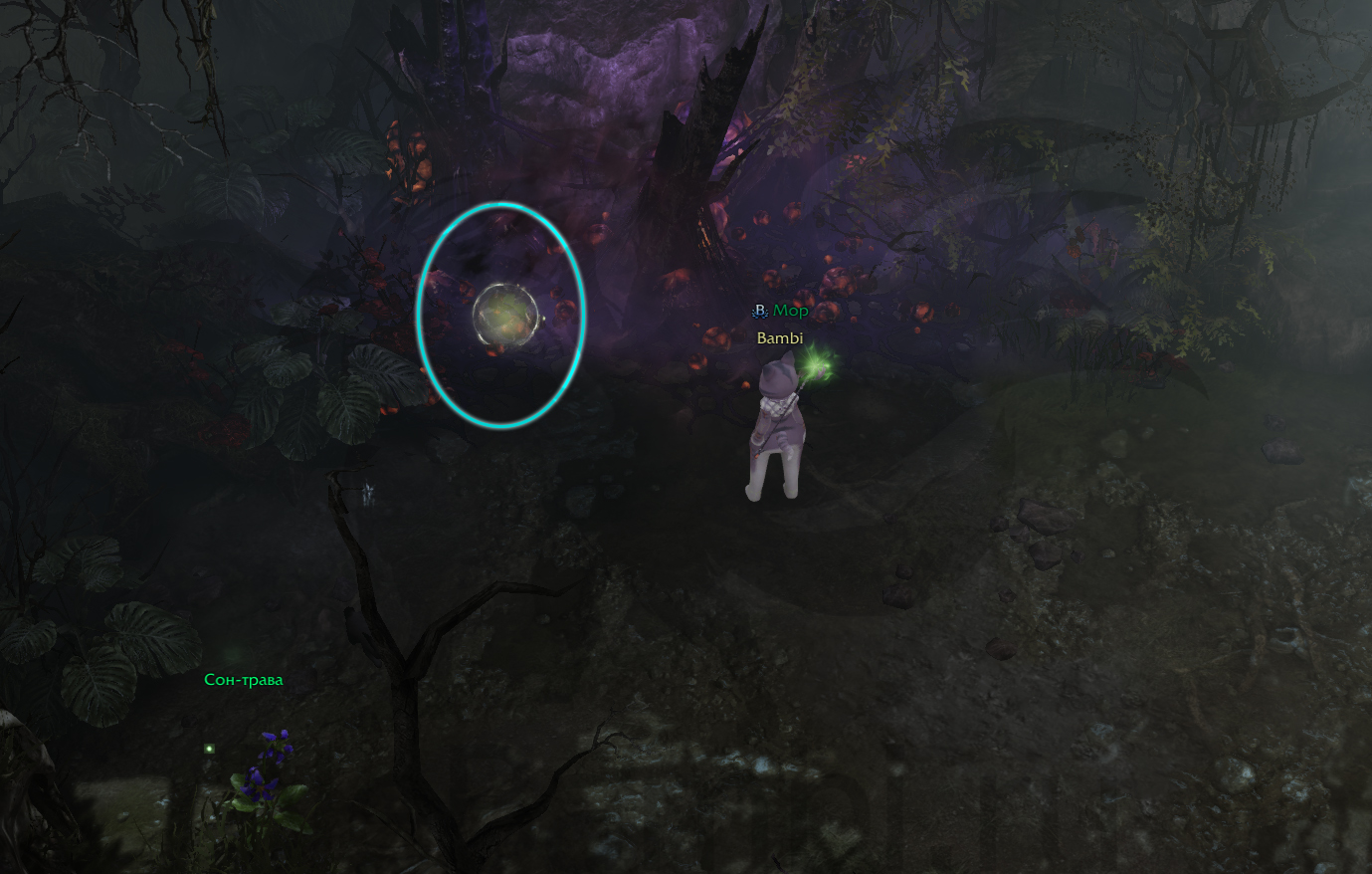 семена мококо фейтон лост арк 2.0 lost ark