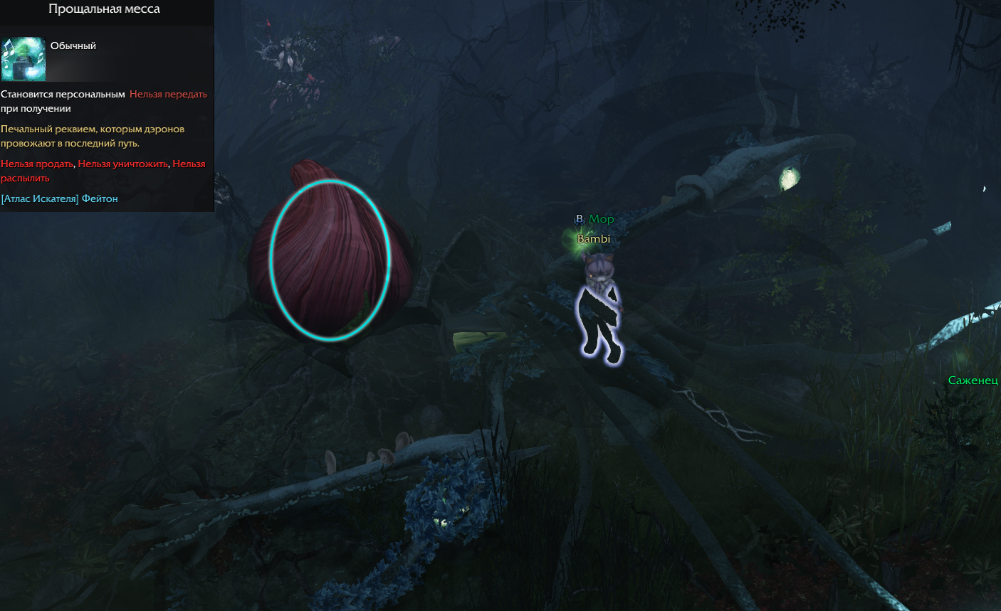 семена мококо фейтон лост арк 2.0 lost ark