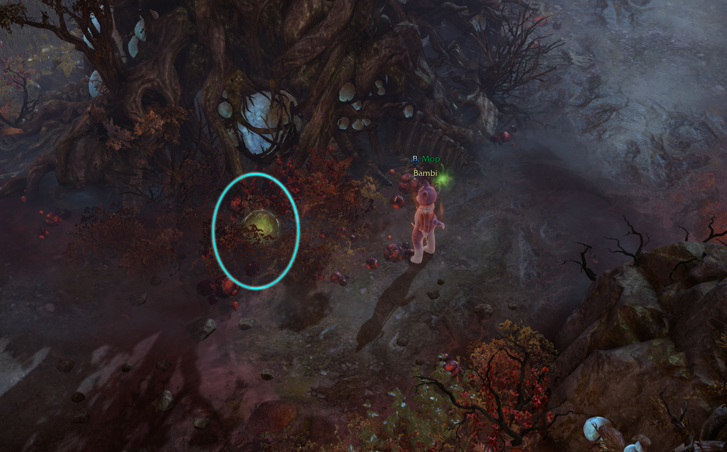 семена мококо фейтон лост арк 2.0 lost ark