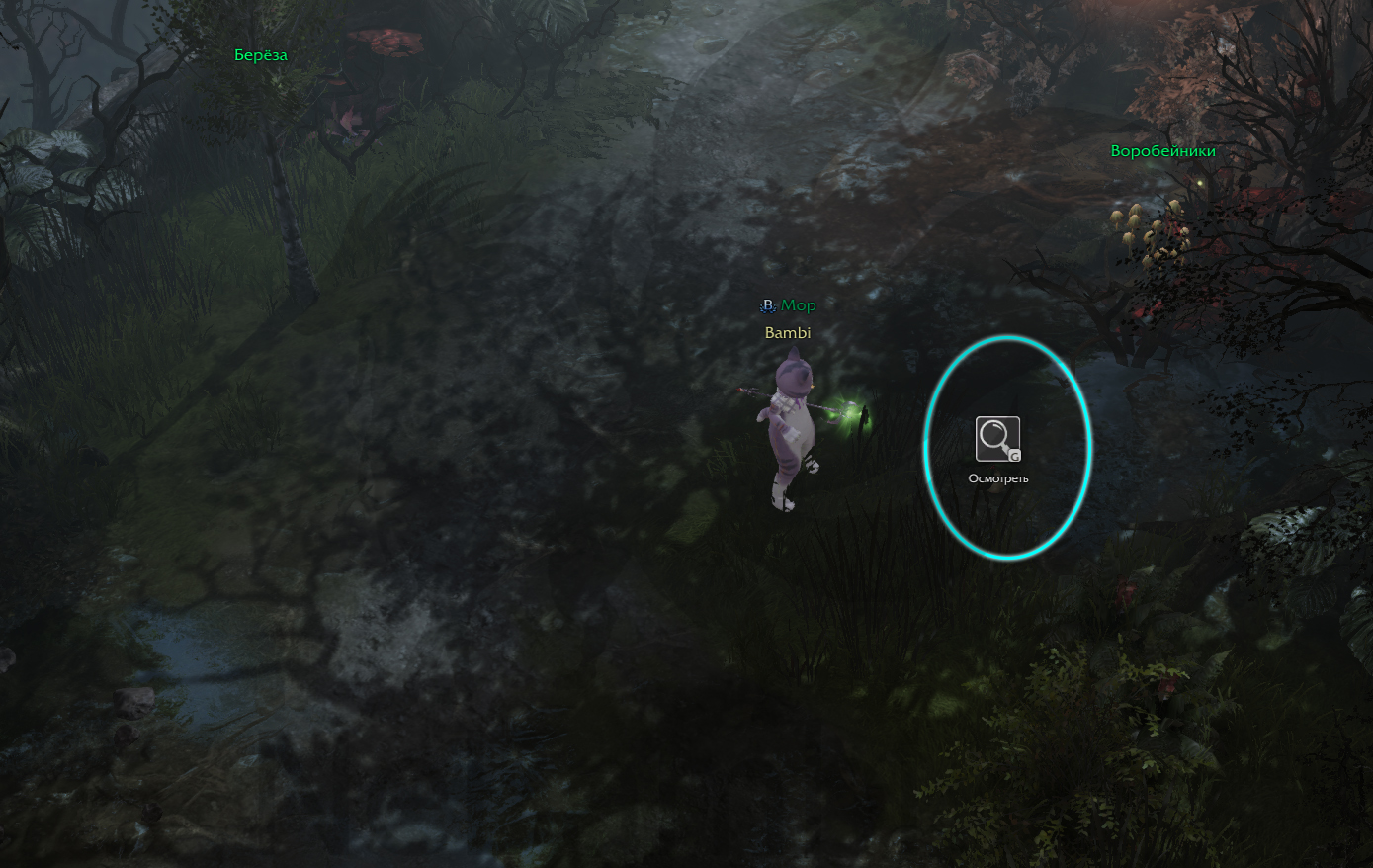 холодец из угря пряная трава атлас искателя фейтон лост арк 2.0 lost ark