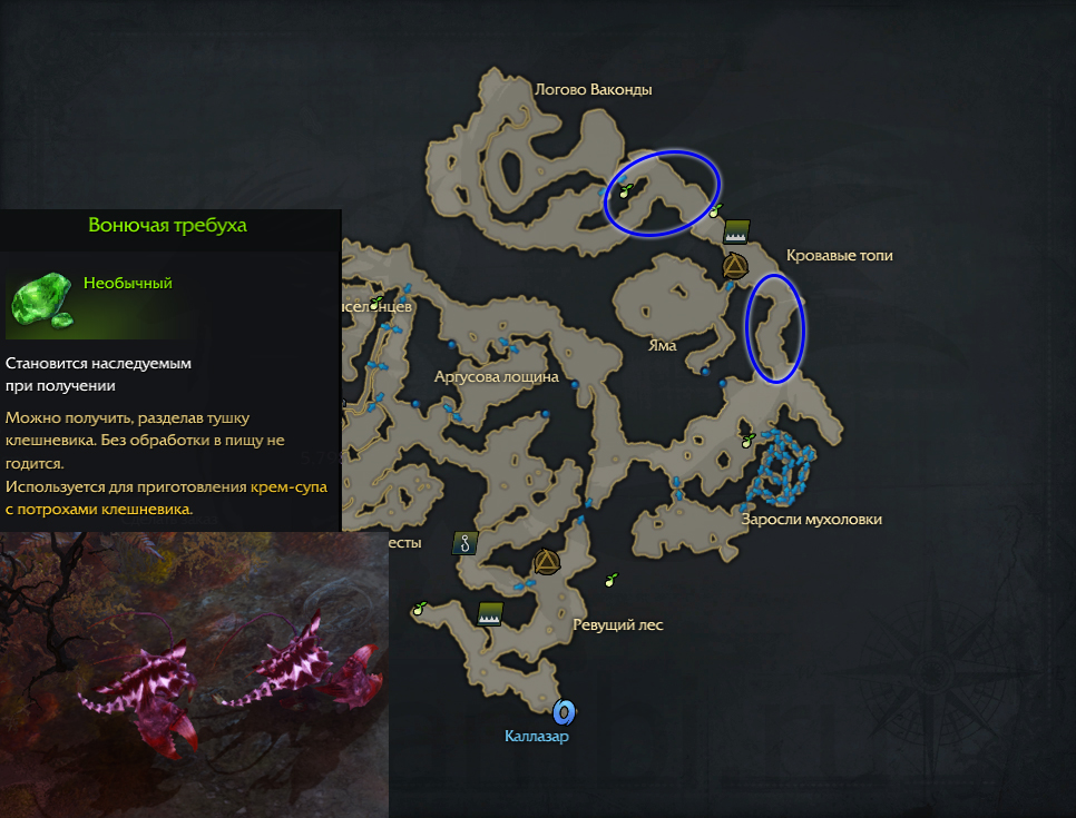 крем суп с потрохами клешневика вонючая обработанная наваристая требуха атлас искателя фейтон лост арк 2.0 lost ark