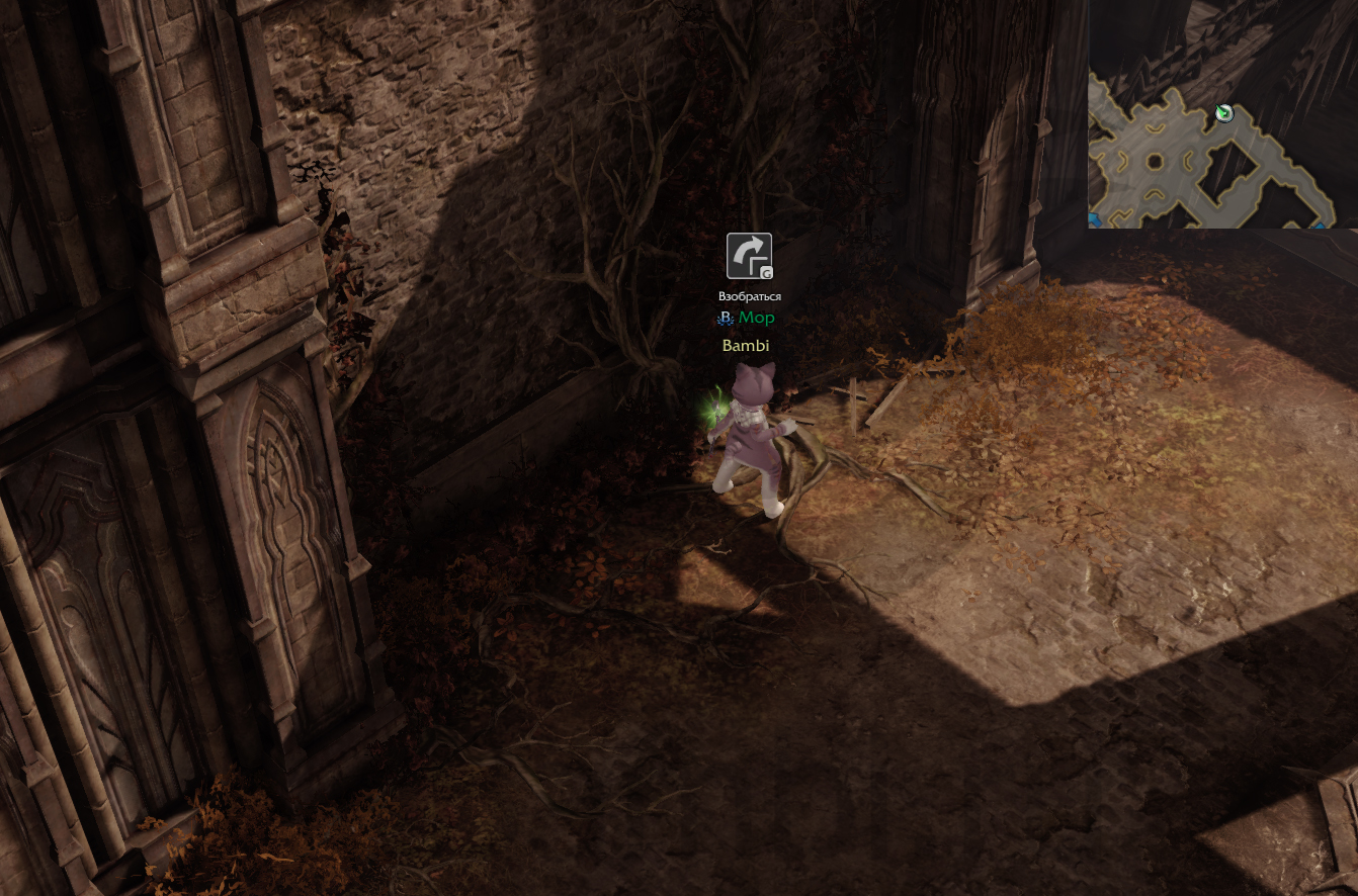 семена мококо фейтон лост арк lost ark 2.0