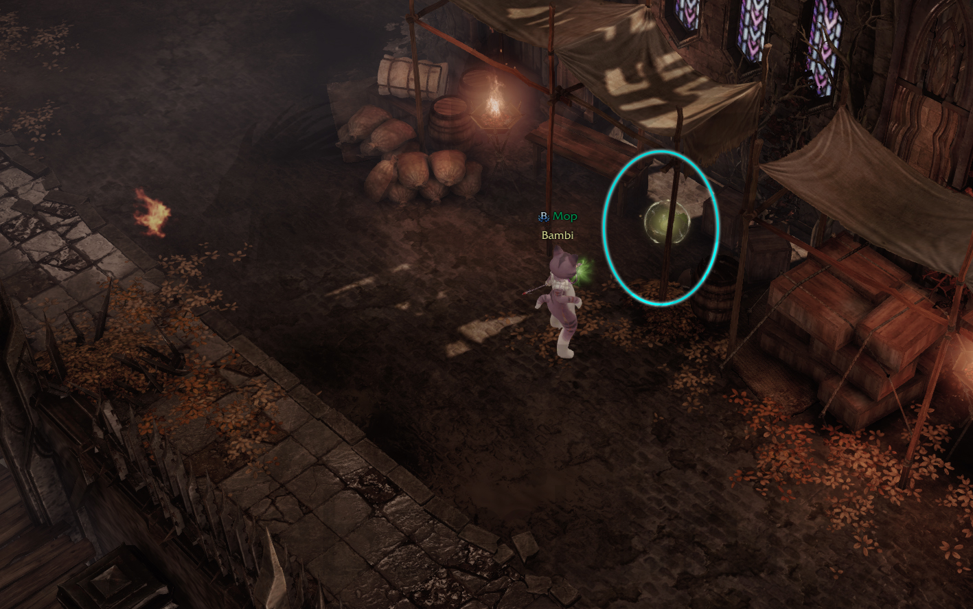 семена мококо фейтон лост арк lost ark 2.0