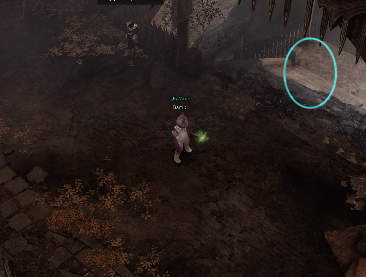 семена мококо фейтон лост арк lost ark 2.0