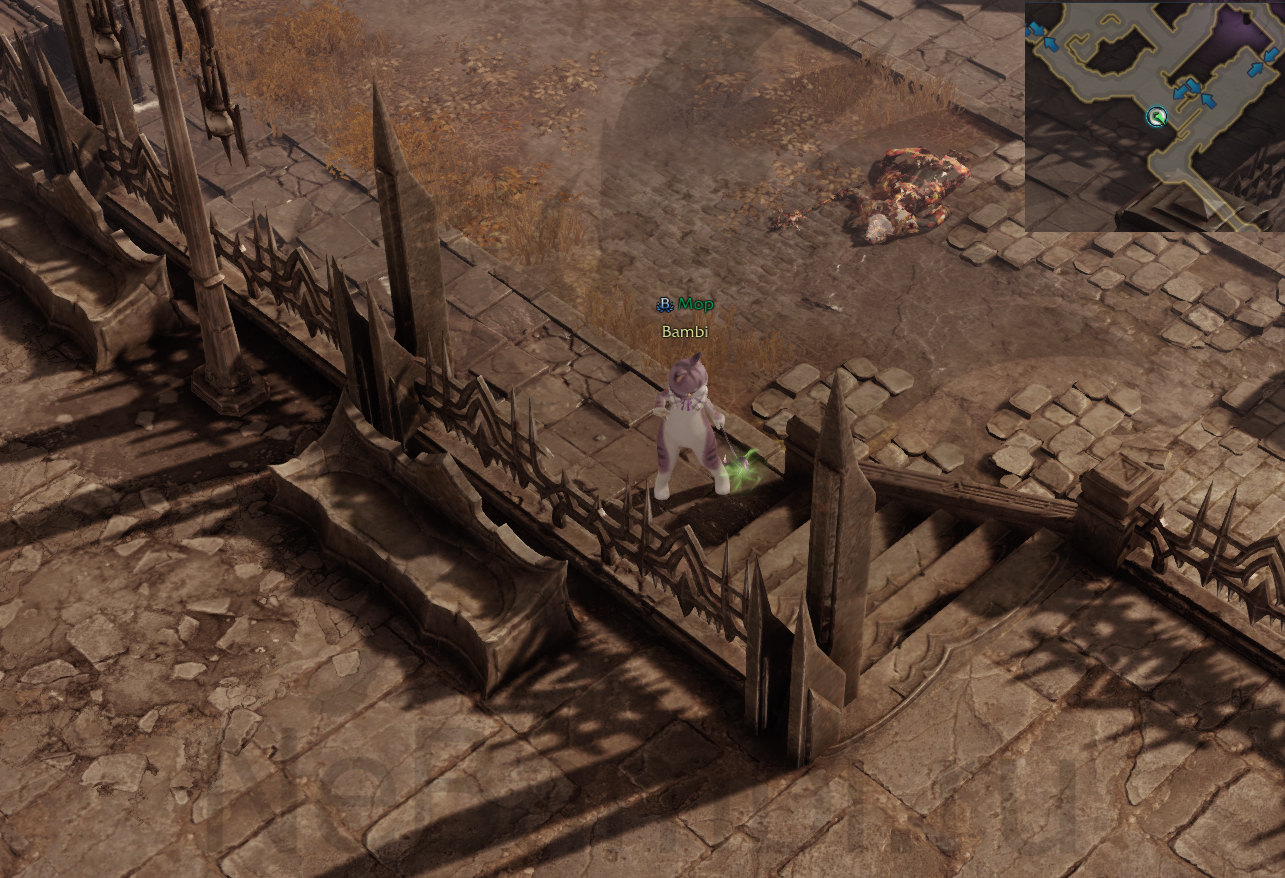 семена мококо фейтон лост арк lost ark 2.0