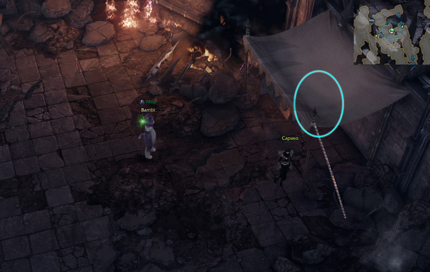 семена мококо фейтон лост арк lost ark 2.0