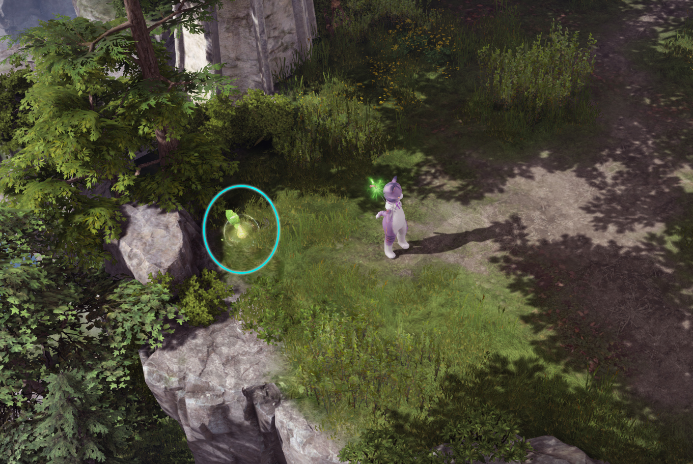 семена мококо северный берн лост арк lost ark 2.0