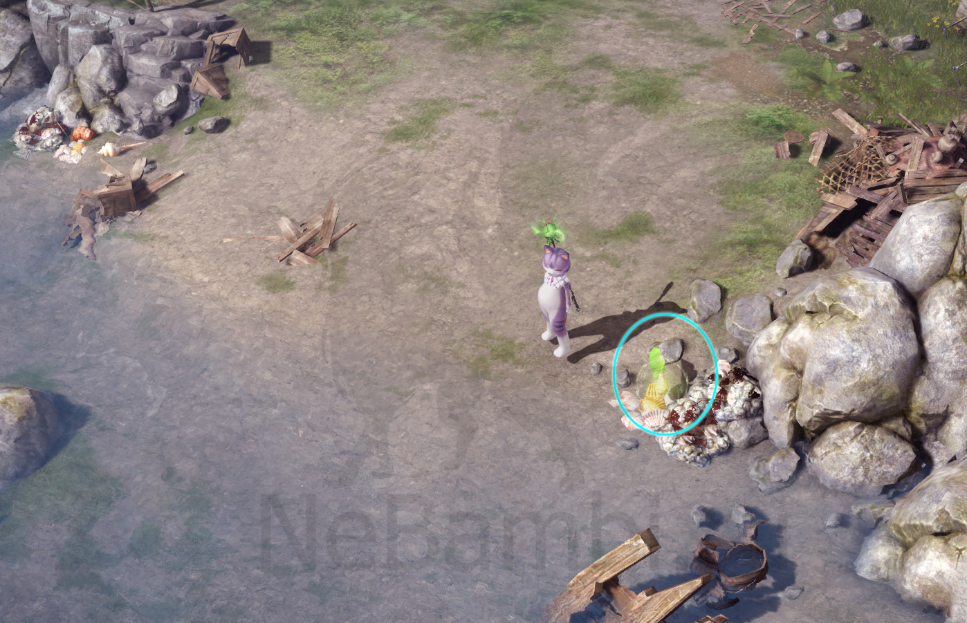 семена мококо северный берн лост арк lost ark 2.0