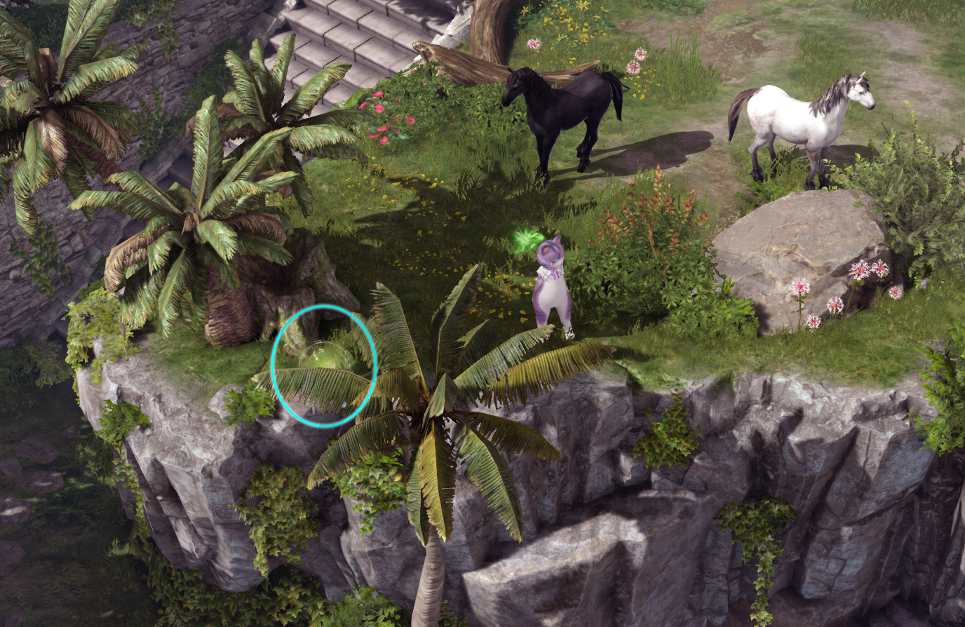 семена мококо северный берн лост арк lost ark 2.0