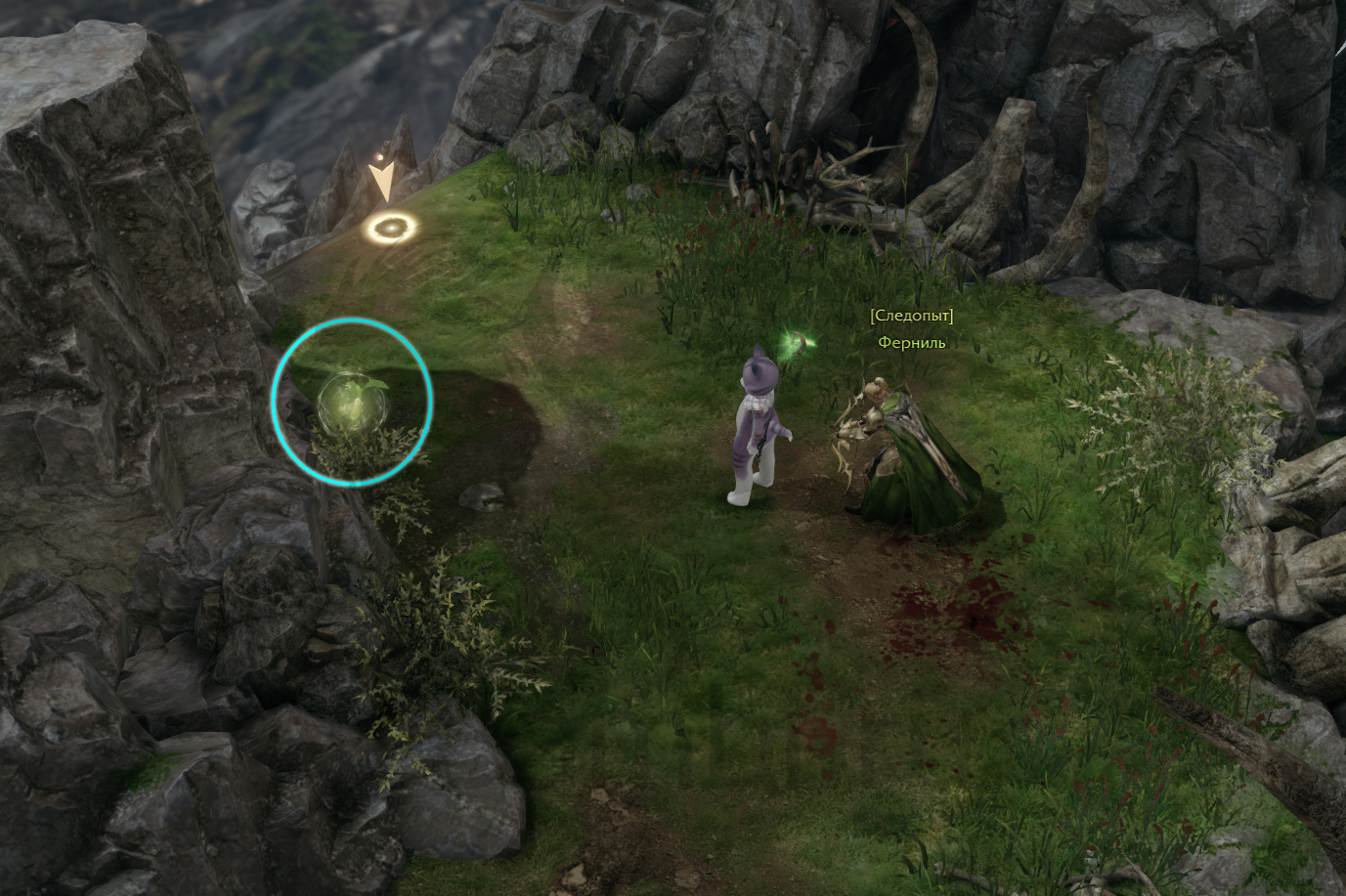 семена мококо логово дракона северный берн лост арк lost ark 2.0