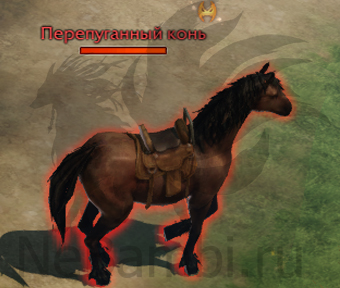 уникальные противники Перепуганный конь атлас искателя северный берн лост арк lost ark 2.0