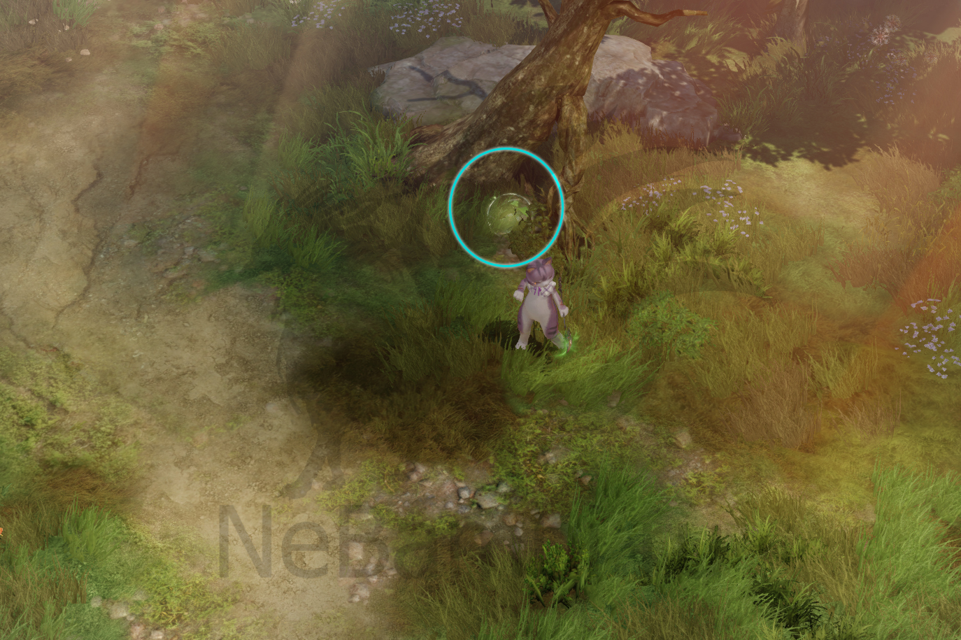 семена мококо мертвое нагорье северный берн лост арк lost ark 2.0