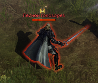 уникальные противники Лесной головорез атлас искателя северный берн лост арк lost ark 2.0
