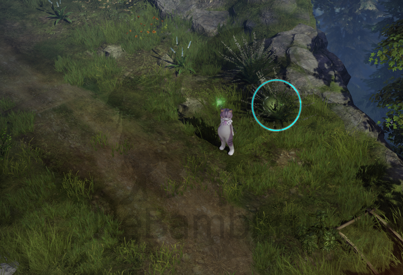 семена мококо северный берн лост арк lost ark 2.0