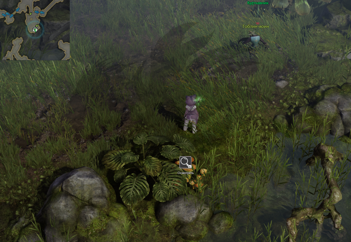 семена мококо северный берн лост арк lost ark 2.0