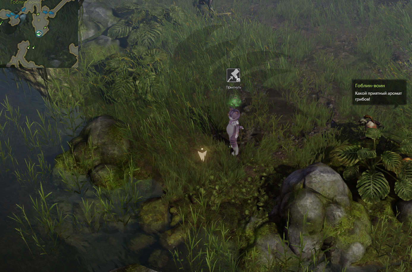 семена мококо северный берн лост арк lost ark 2.0