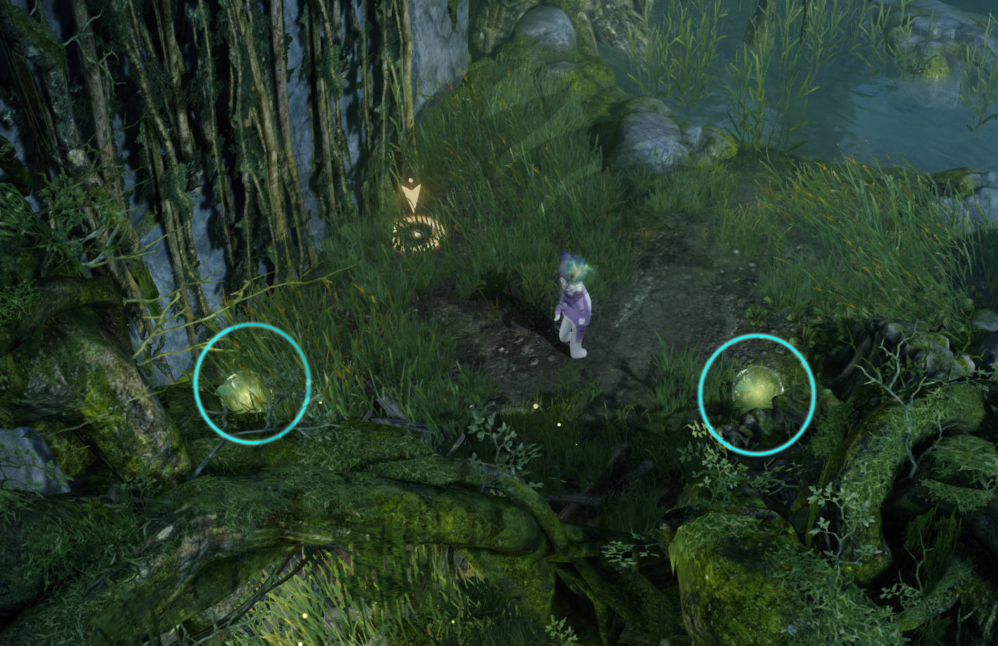 семена мококо северный берн лост арк lost ark 2.0