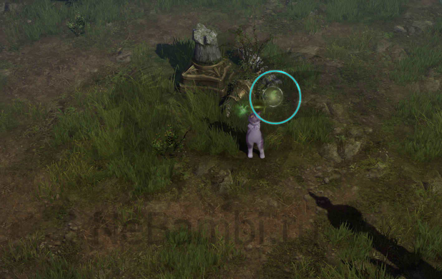 семена мококо северный берн лост арк lost ark 2.0