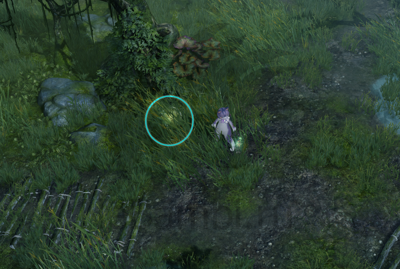 семена мококо северный берн лост арк lost ark 2.0