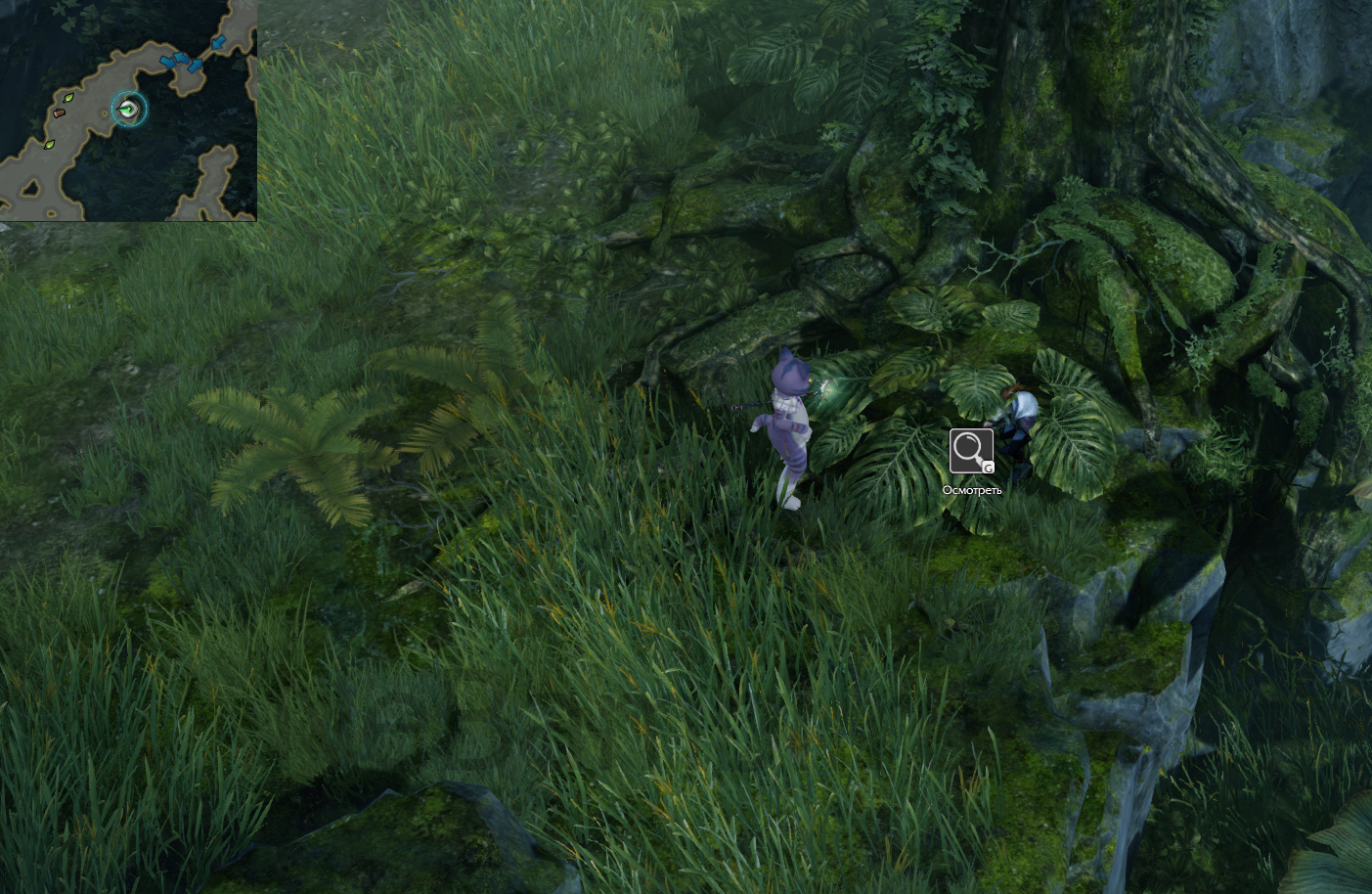 семена мококо северный берн лост арк lost ark 2.0