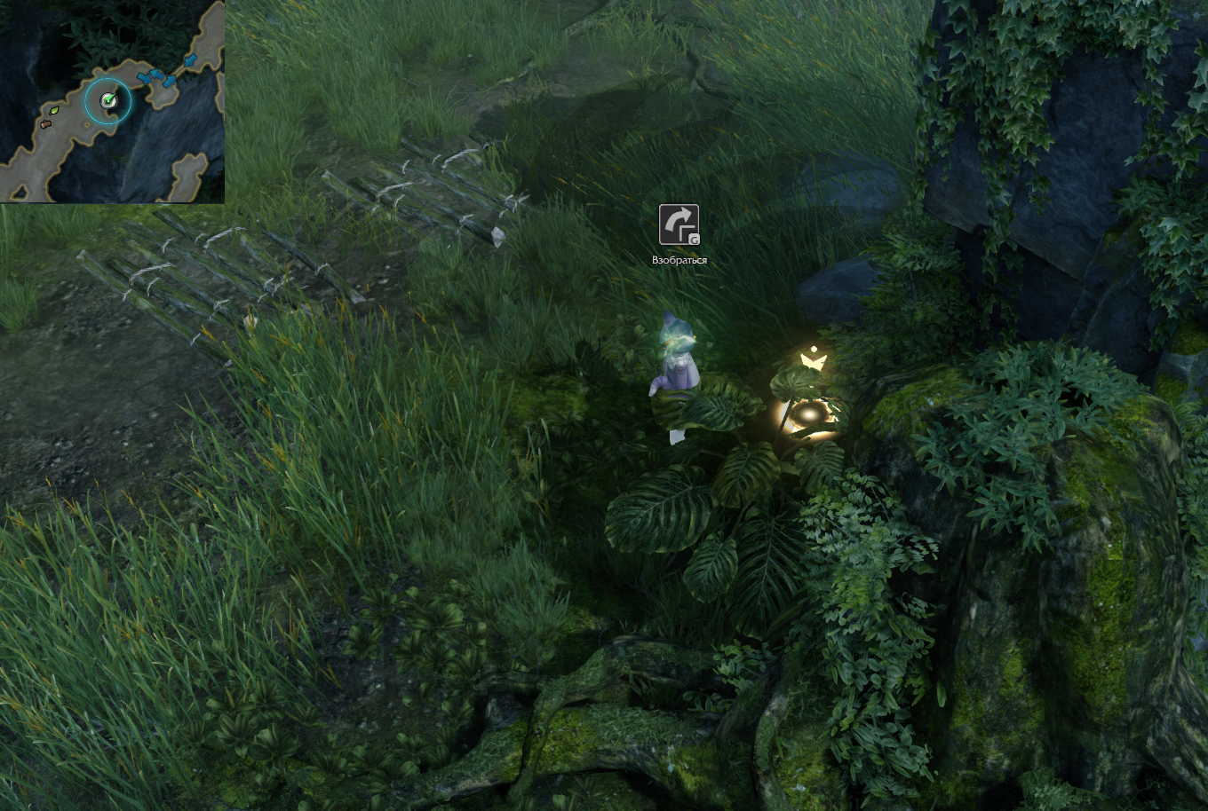 семена мококо северный берн лост арк lost ark 2.0