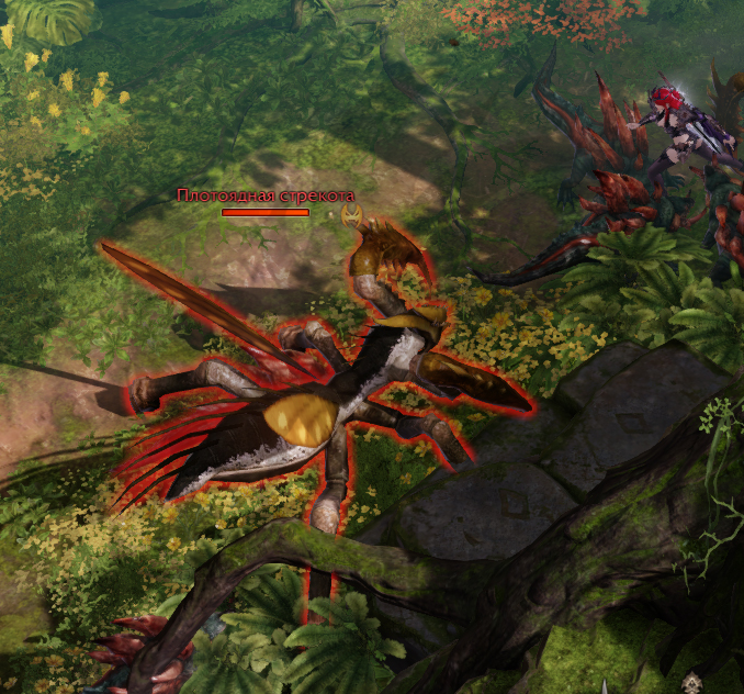 плотоядная стрекота папуаника лост арк