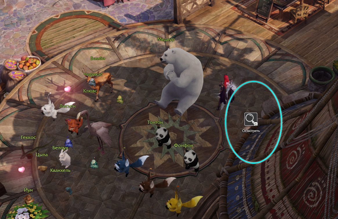 скрытые истории дуэт мечты 3 из 4 папуаника лост арк