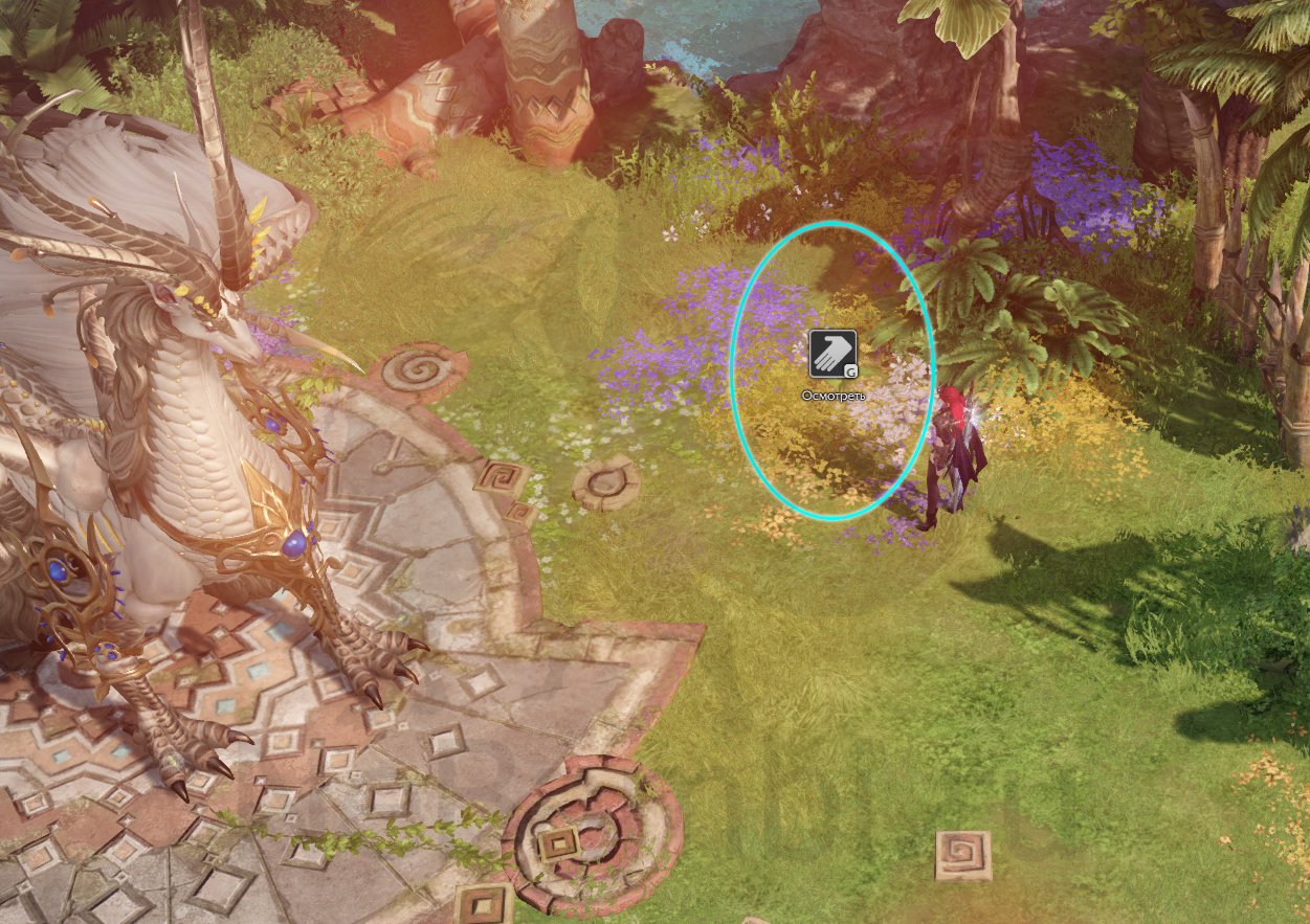 семена мококо папуаника лост арк 2.0