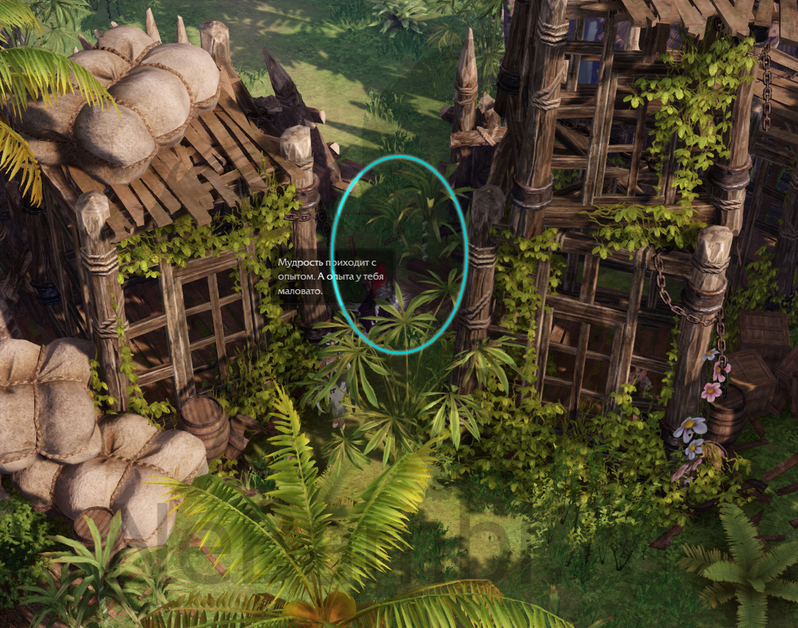 семена мококо папуаника лост арк 2.0