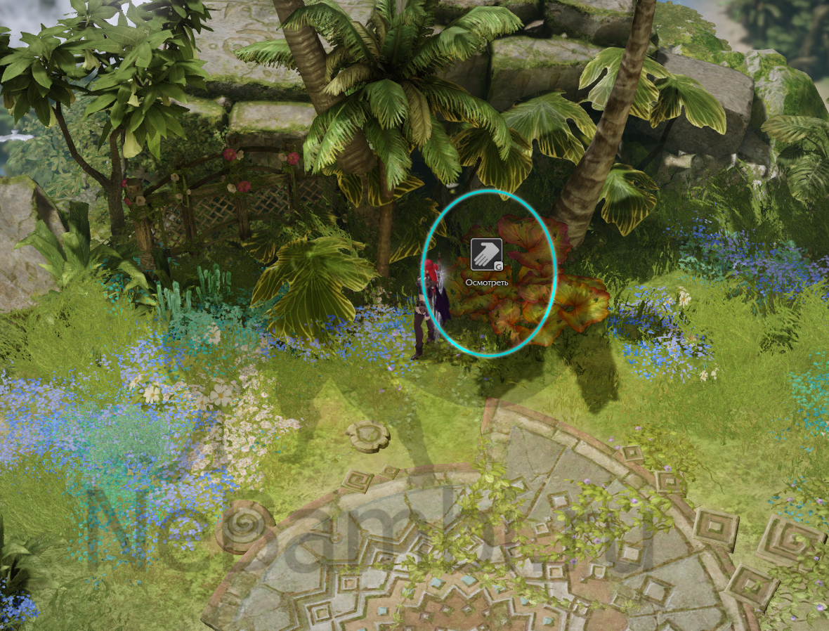 семена мококо папуаника лост арк