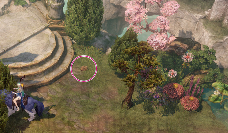 скрытое задание Оскверненное святилище рохэндель лост арк lost ark 2.0