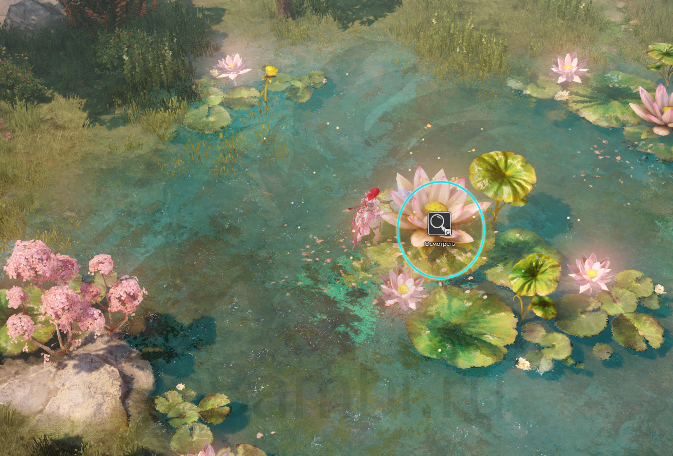 рецепты Роса озерного лотоса атлас искателя рохэндель лост арк lost ark 2.0