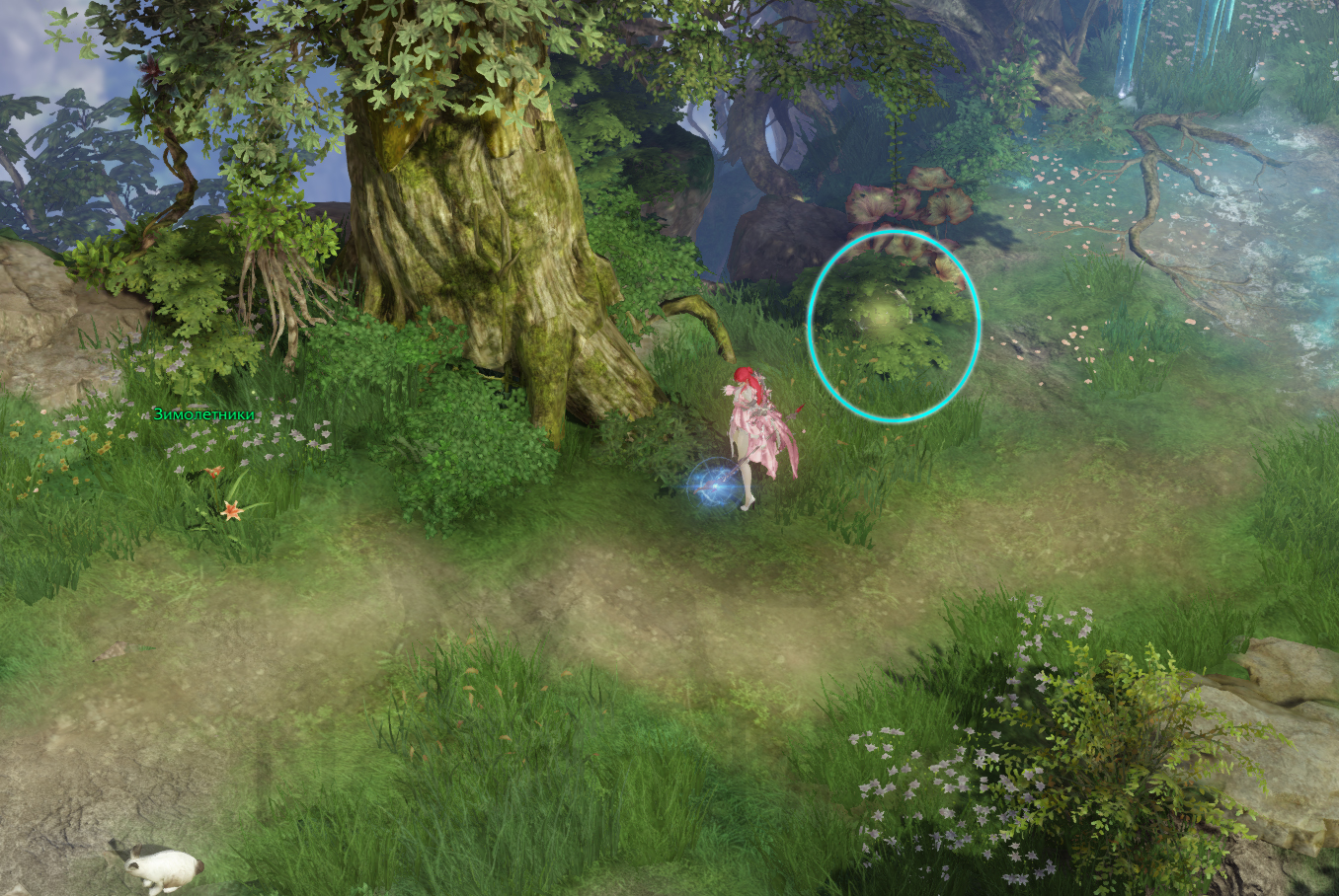 семена мококо рохэндель лост арк lost ark 2.0