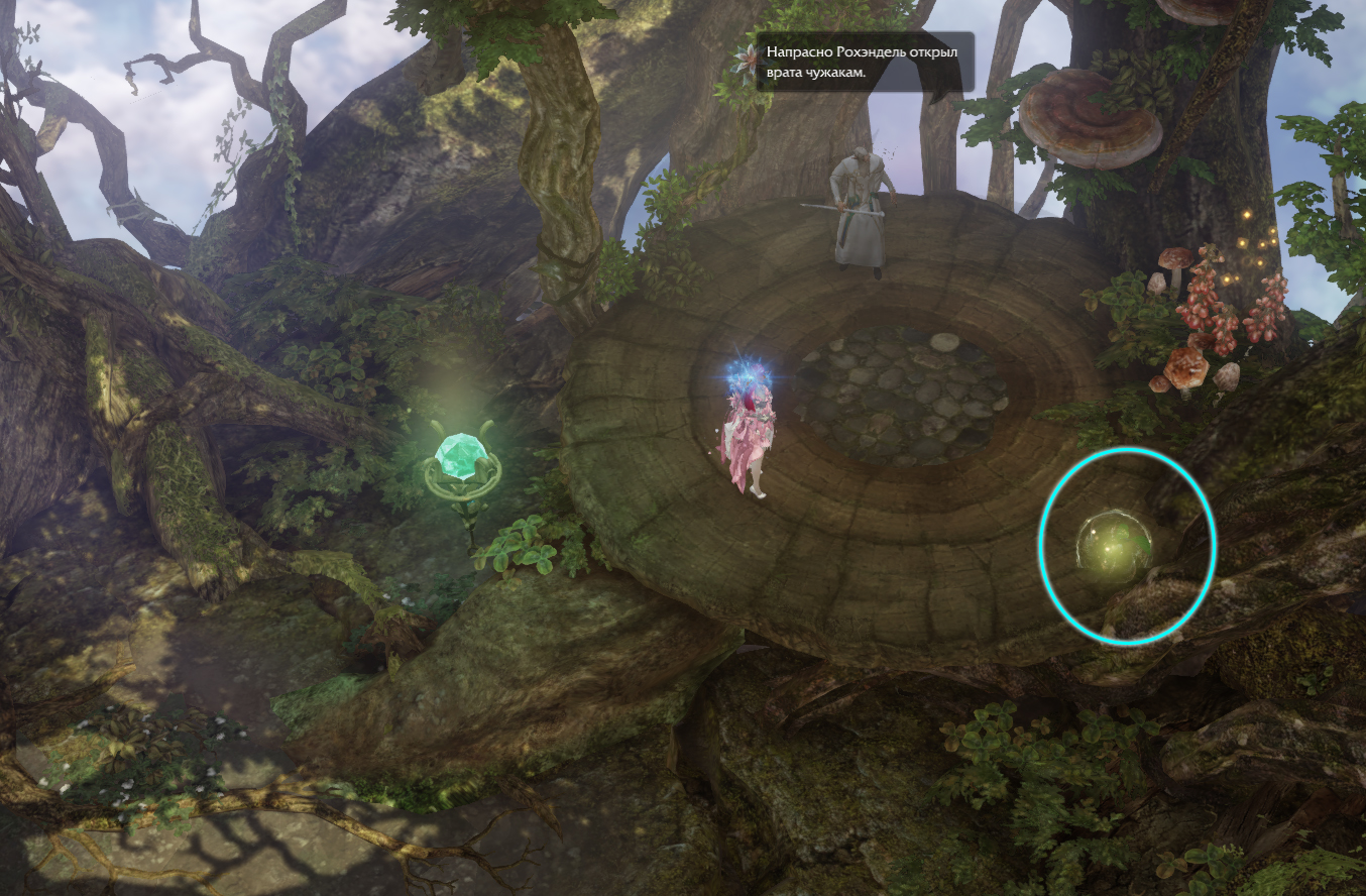 семена мококо рохэндель лост арк lost ark 2.0