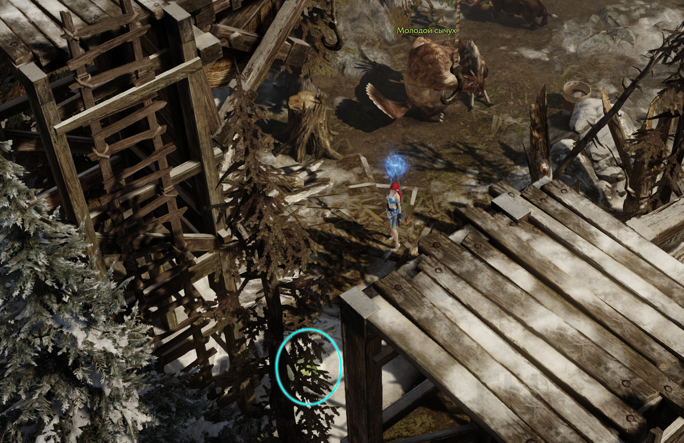 семена мококо шувьерд лост арк lost ark 2.0