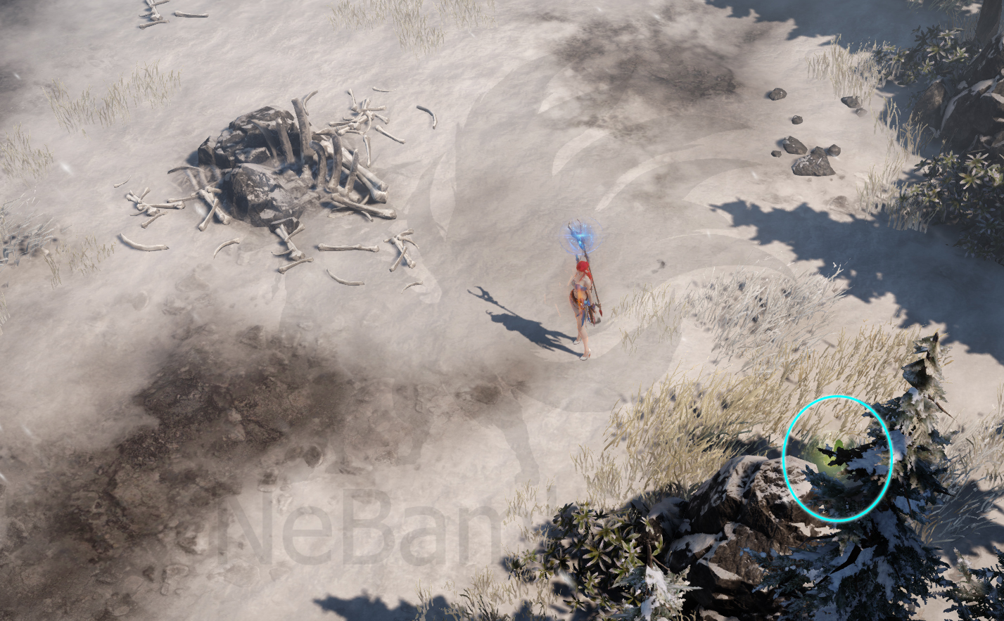 семена мококо шувьерд лост арк lost ark 2.0