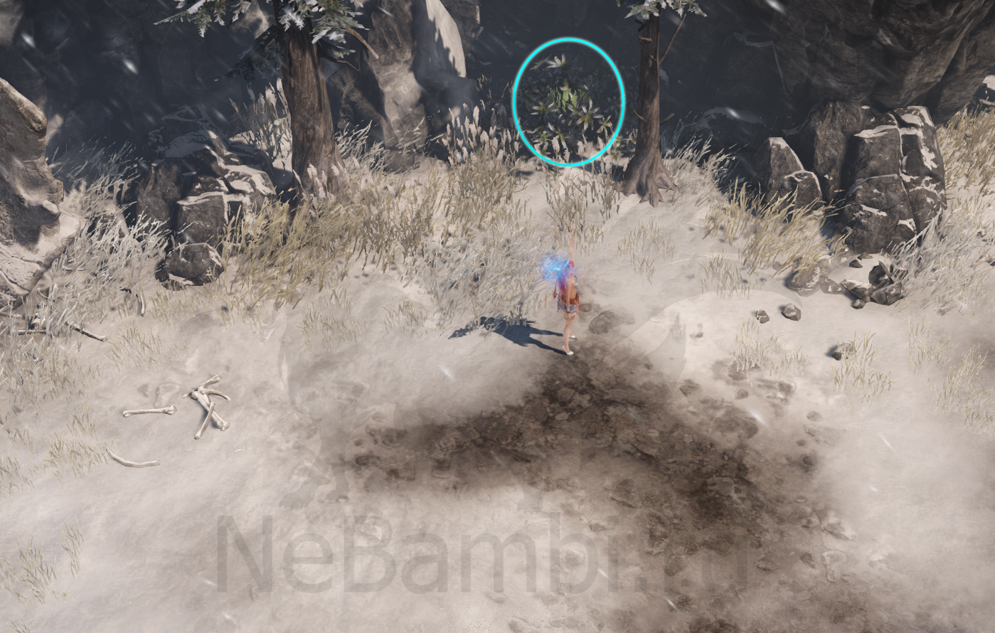 семена мококо шувьерд лост арк lost ark 2.0